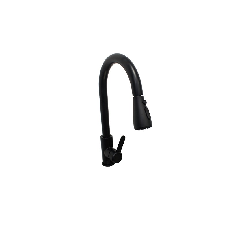 Black Pull Down Kitchen Faucet